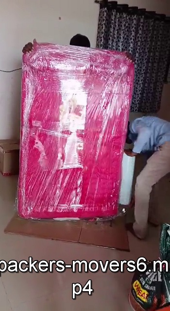 Packers Movers Truck Loading Video